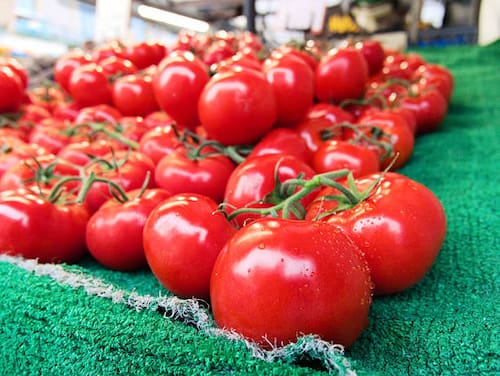 تصویر 4 از فروش رب گوجه فرنگی کامبیز + قیمت خرید به صرفه